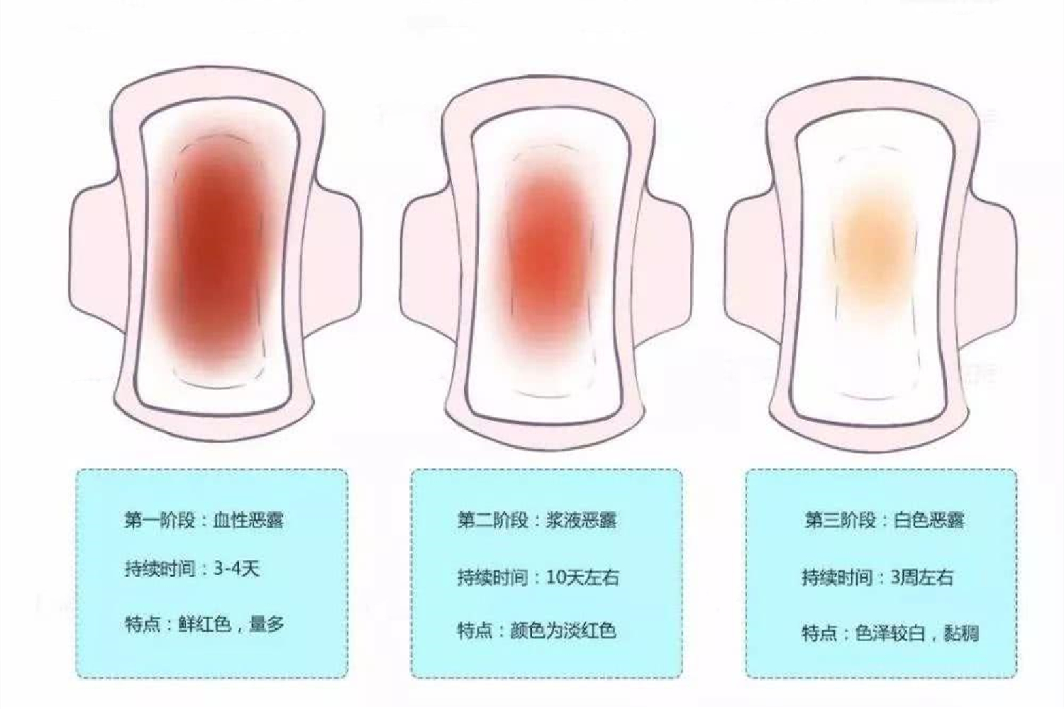 产后两个月见红量少的现象解析